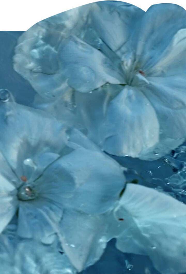 A close-up of delicate blue flowers submerged in water, with gentle ripples and droplets creating a serene and tranquil atmosphere.