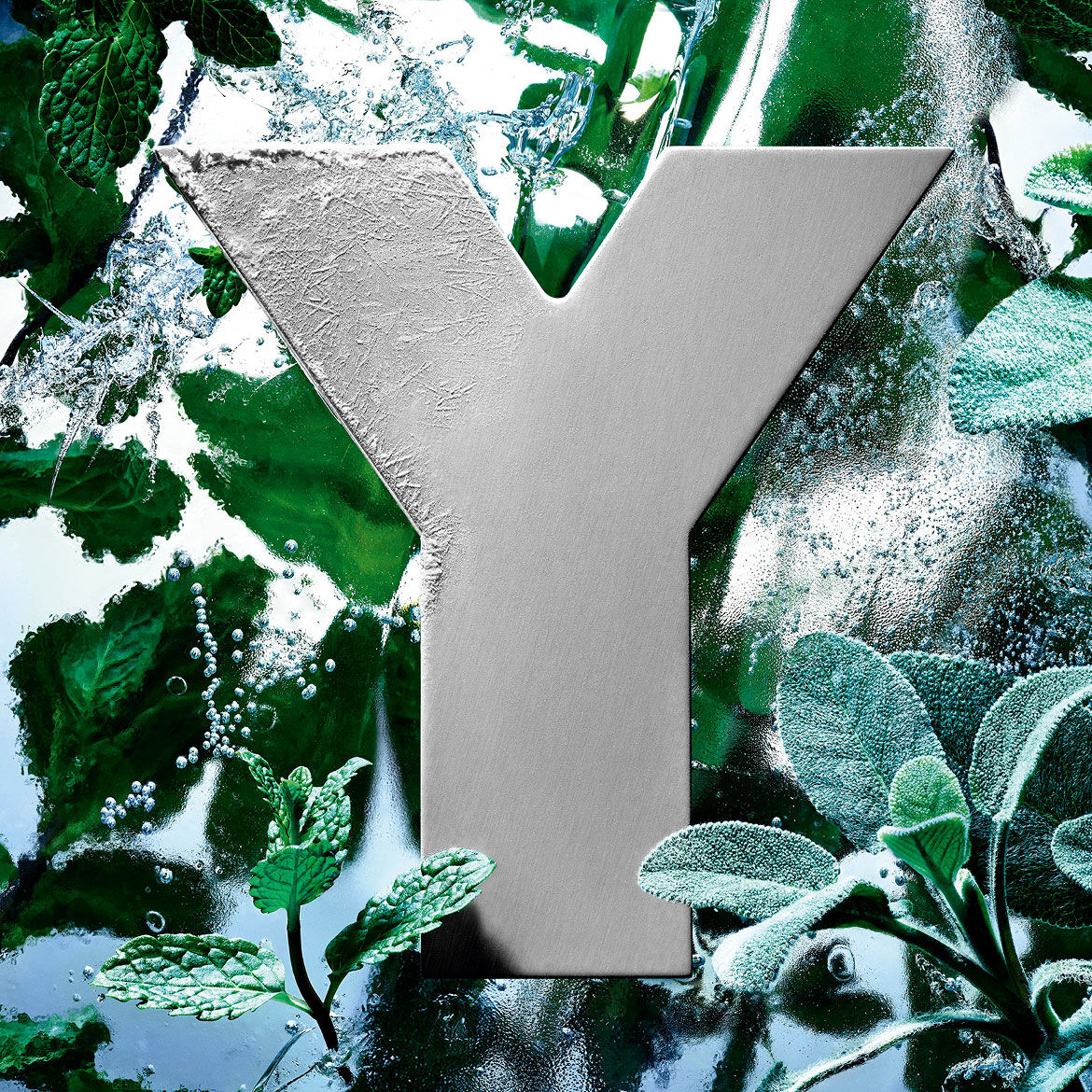Le logo 'Y' de YSL, givré par la glace, entouré de feuilles de menthe fraîche et de sauge.