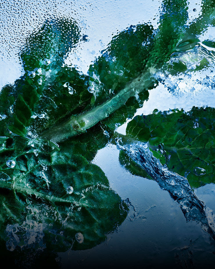 Feuilles de menthe fraîche enveloppées dans de la glace et de l'eau, symbolisant l'essence revigorante de YSL Y Eau de Toilette Intense Iced Cologne.