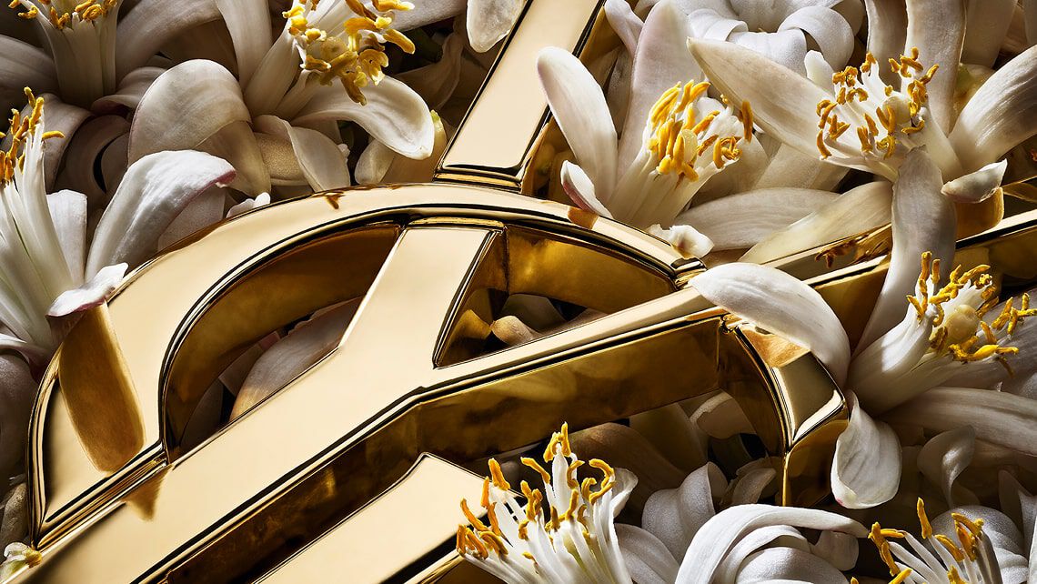 Gros plan sur le logo YSL doré partiellement incrusté dans un amas dense de gousses de vanille foncées et texturées, montrant les détails complexes des deux.