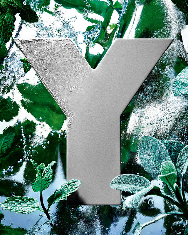 Le logo 'Y' de YSL, givré par la glace, entouré de feuilles de menthe fraîche et de sauge.