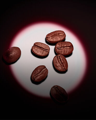 Eine Gruppe gerösteter Kaffeebohnen, vor dunklem Hintergrund von einem pinken kreisförmigen Spotlicht hervorgehoben.